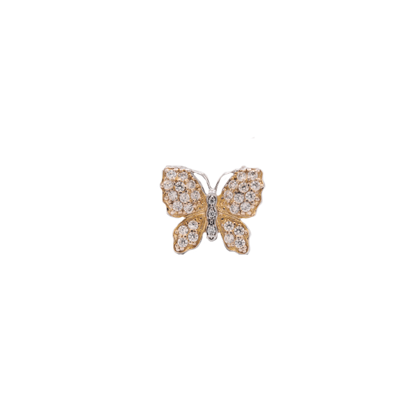 Mariposa amarilla