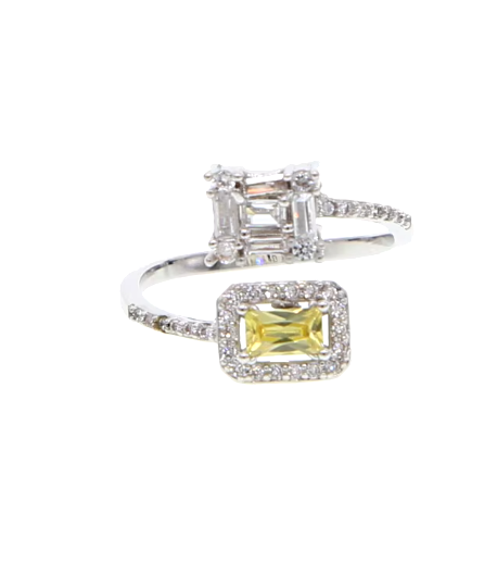 Anillo Bursa