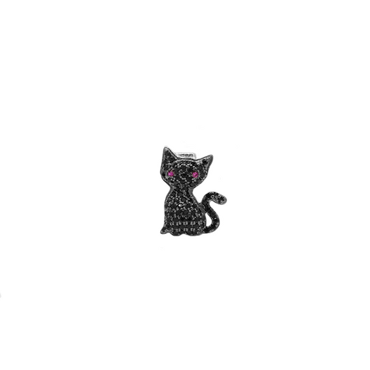 Gato negro
