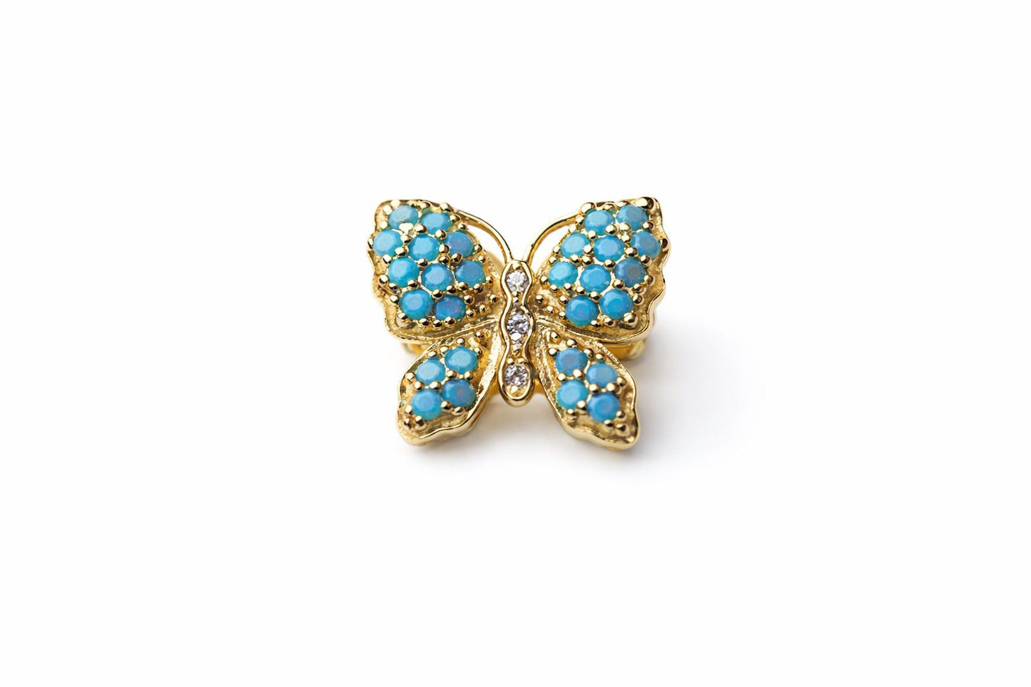 Mariposa azul turquesa  con dorado