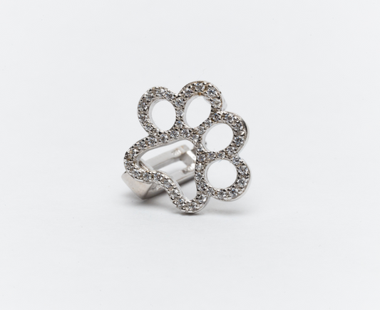 Huella plata  zirconia
